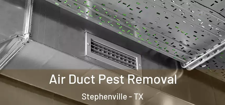  Air Duct Pest Removal Stephenville - TX