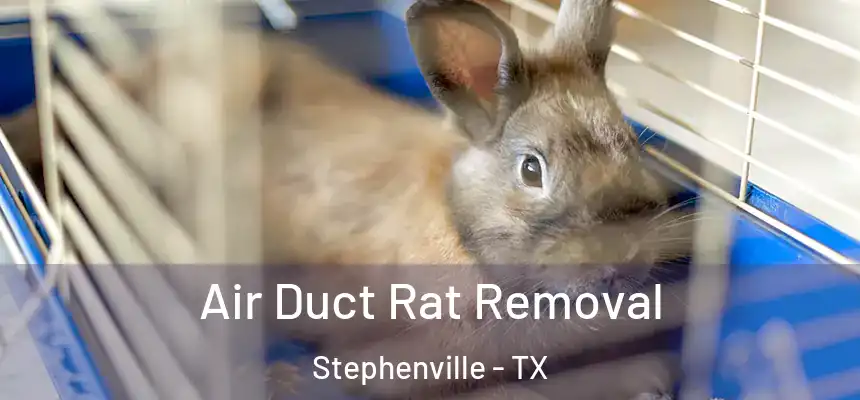  Air Duct Rat Removal Stephenville - TX