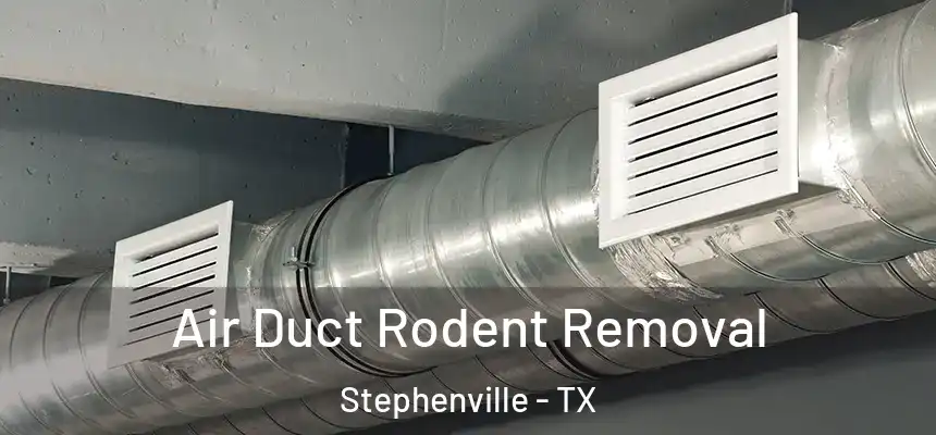  Air Duct Rodent Removal Stephenville - TX