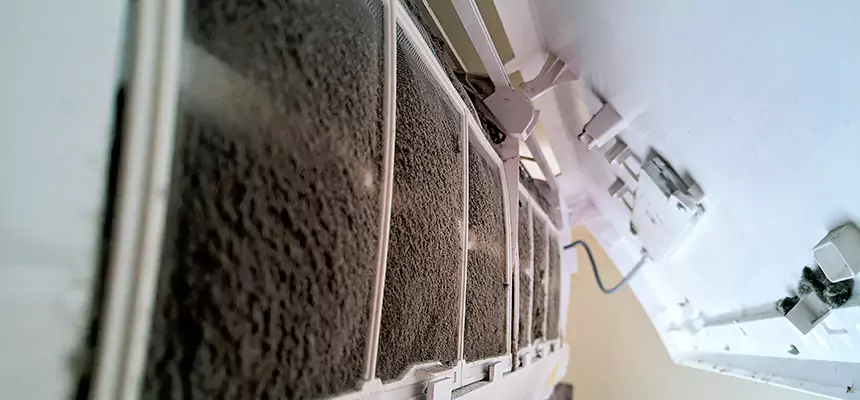 Preventive Air Duct Bacteria Removal in Stephenville