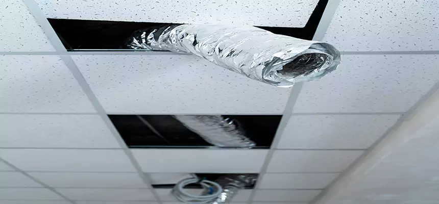 Affordable HVAC Sanitizing After Pest Removal in Stephenville