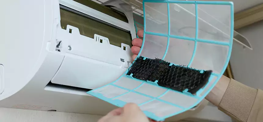 Gentle Ductwork Odor-Control Pet Dander Duct Cleaning in Stephenville, TX