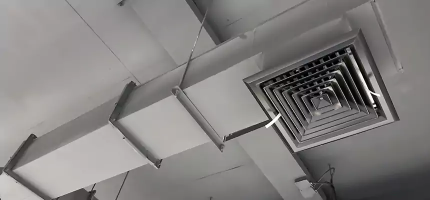 Our Rodent Droppings In Vents Services in Stephenville, TX