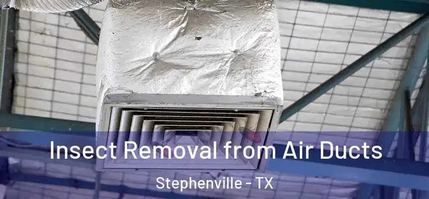  Insect Removal from Air Ducts Stephenville - TX
