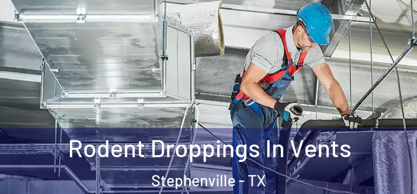  Rodent Droppings In Vents Stephenville - TX