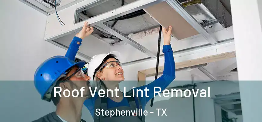  Roof Vent Lint Removal Stephenville - TX