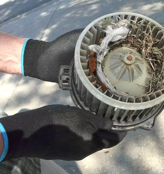 About Air Duct Mice Removal in Stephenville, TX