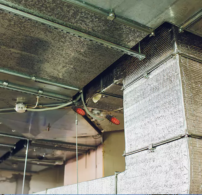 Why Homeowners & Businesses Trust Us in Stephenville, TX?