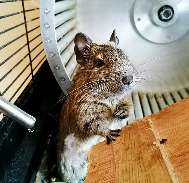 Why Homeowners & Businesses Trust Us Stephenville, TX