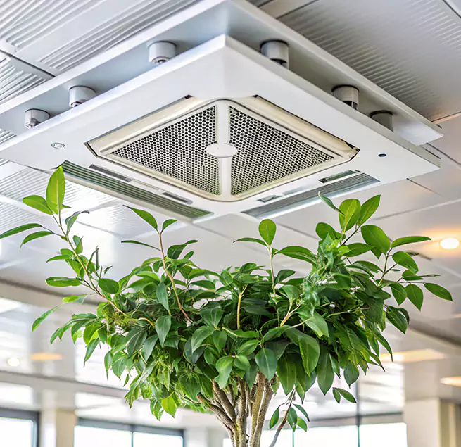 Why Homeowners & Businesses Trust Us in Stephenville, TX?